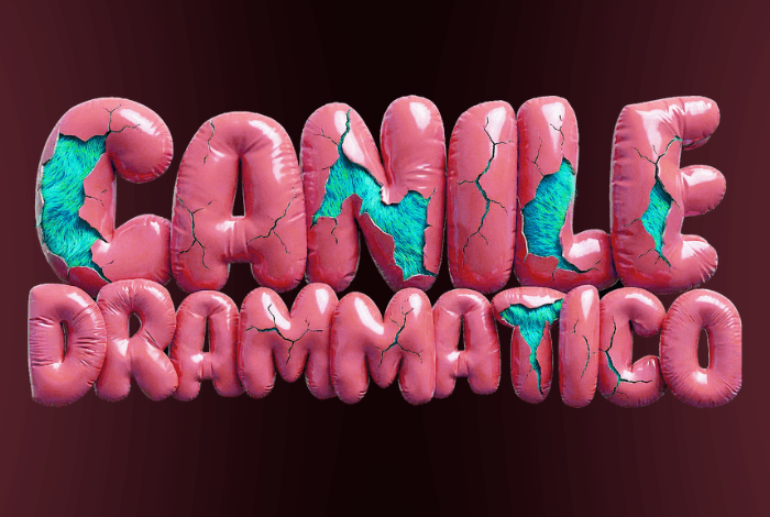 canile-drammatico-2026