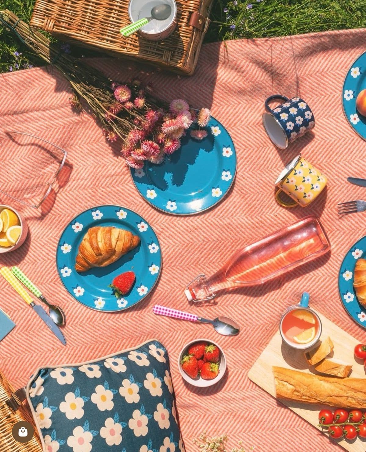 picnic
